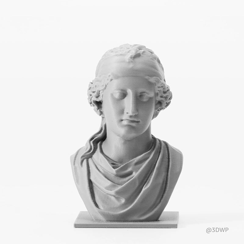 Bambu Lab PLA Matte